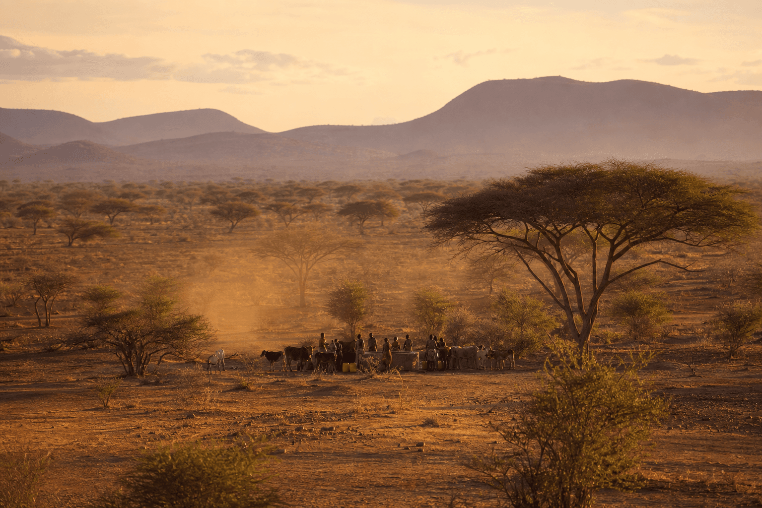 Vast Turkana County scrubland at golden hour with a distant community water point
